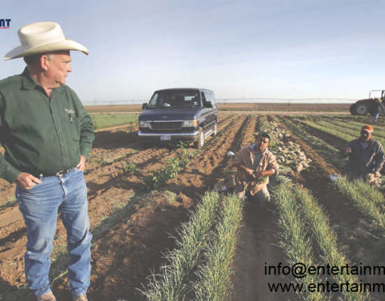 American Farms Embrace AI in a Critical Drive to Feed the Globe