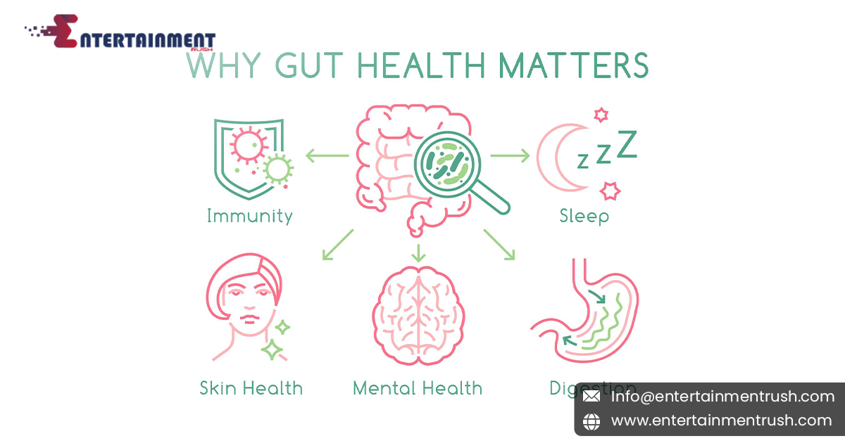 Digestive Harmony: Exploring the Link Between Gut Health and Mental Wellness in the United States