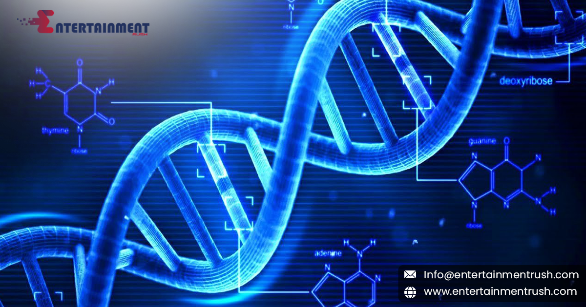 Understanding DNA: Decoding the Blueprint of Life in the United States