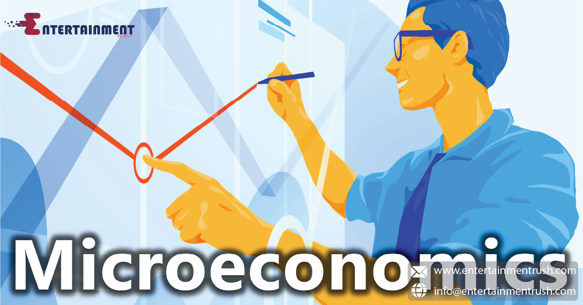 Introduction to Microeconomics: A Beginner's Primer in the USA