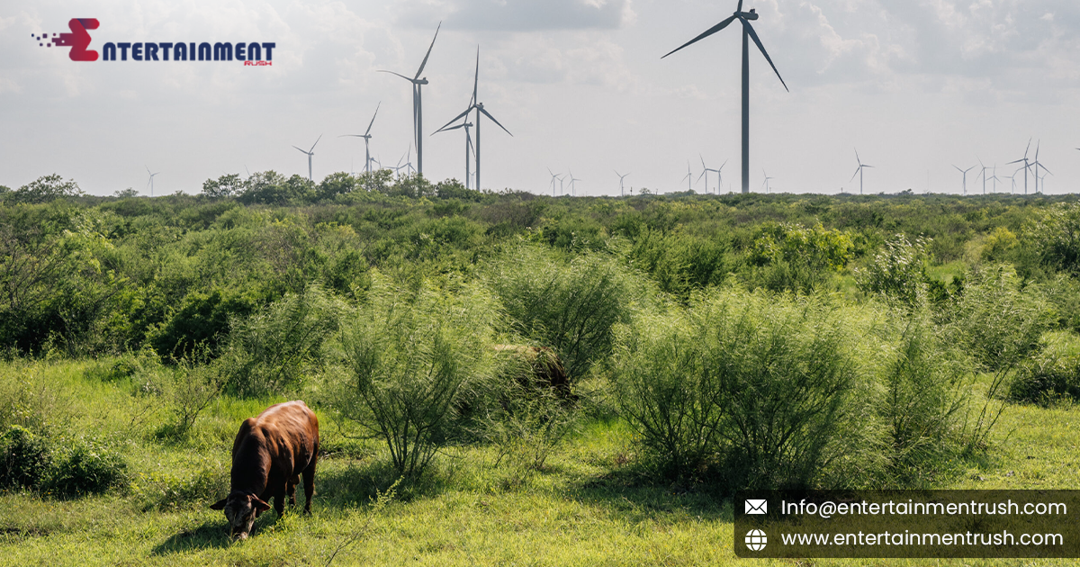 This Texas Energy Source Is So Abundant, They Pay You to Take It