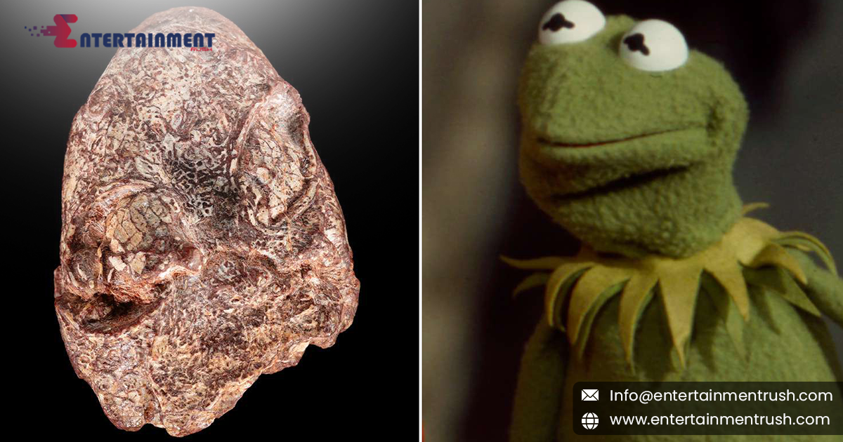 Prehistoric Amphibian Named After Kermit the Frog