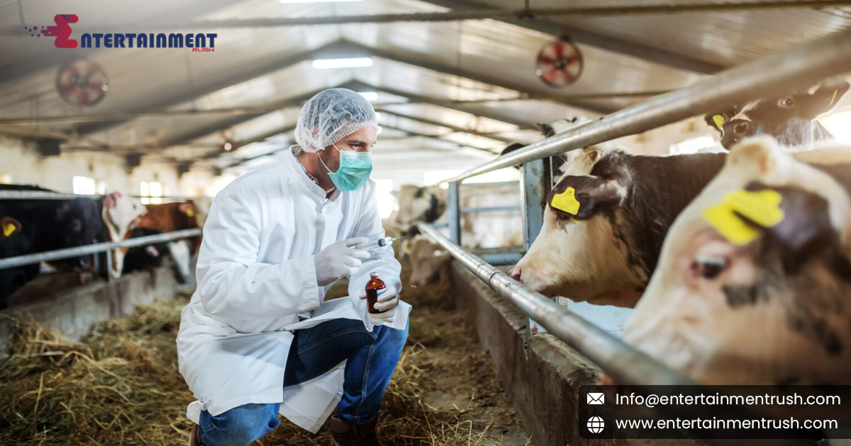 Stopping the Bird Flu Outbreak in Cows: A New Approach Beyond Milk