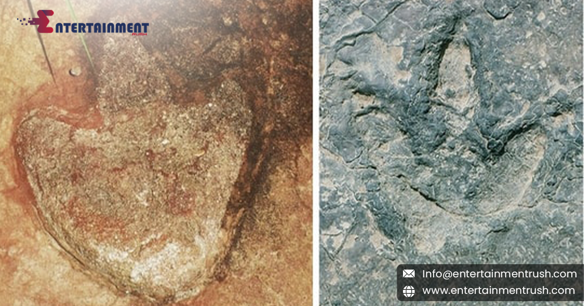 Scientists Find Identical Dinosaur Footprints on Both Sides of the Atlantic