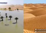 The Sahara Desert Floods for the First Time in Decades, Emerging as a Tourist Destination