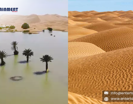 The Sahara Desert Floods for the First Time in Decades, Emerging as a Tourist Destination