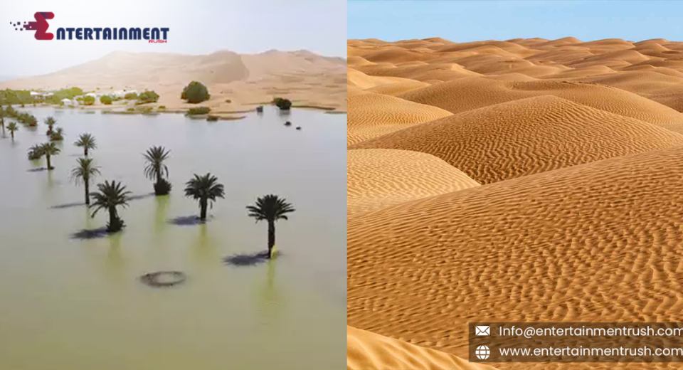 The Sahara Desert Floods for the First Time in Decades, Emerging as a Tourist Destination