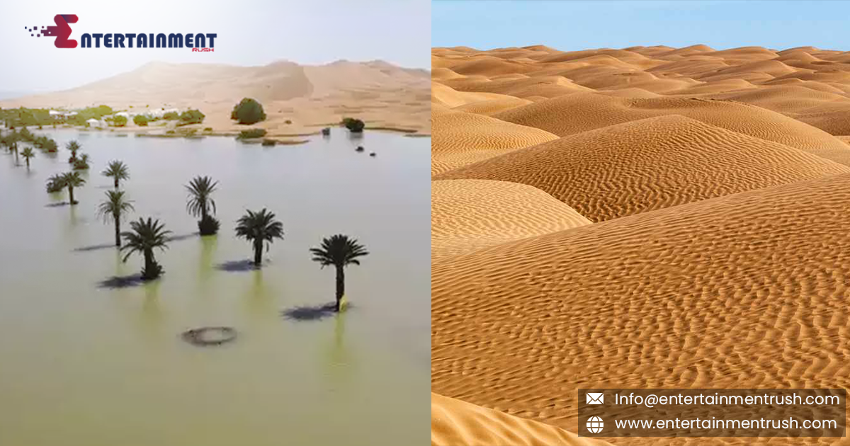 The Sahara Desert Floods for the First Time in Decades, Emerging as a Tourist Destination